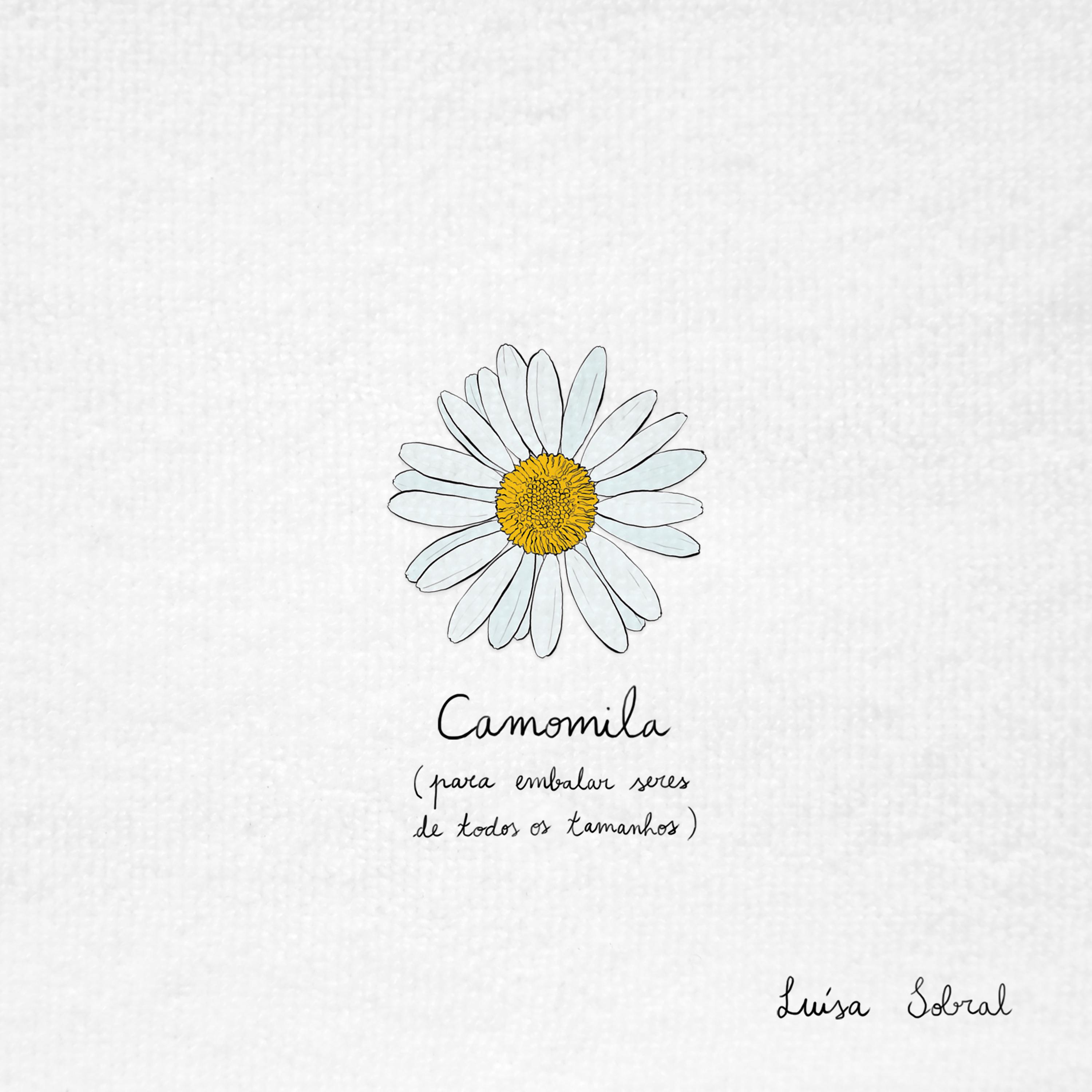 Camomila