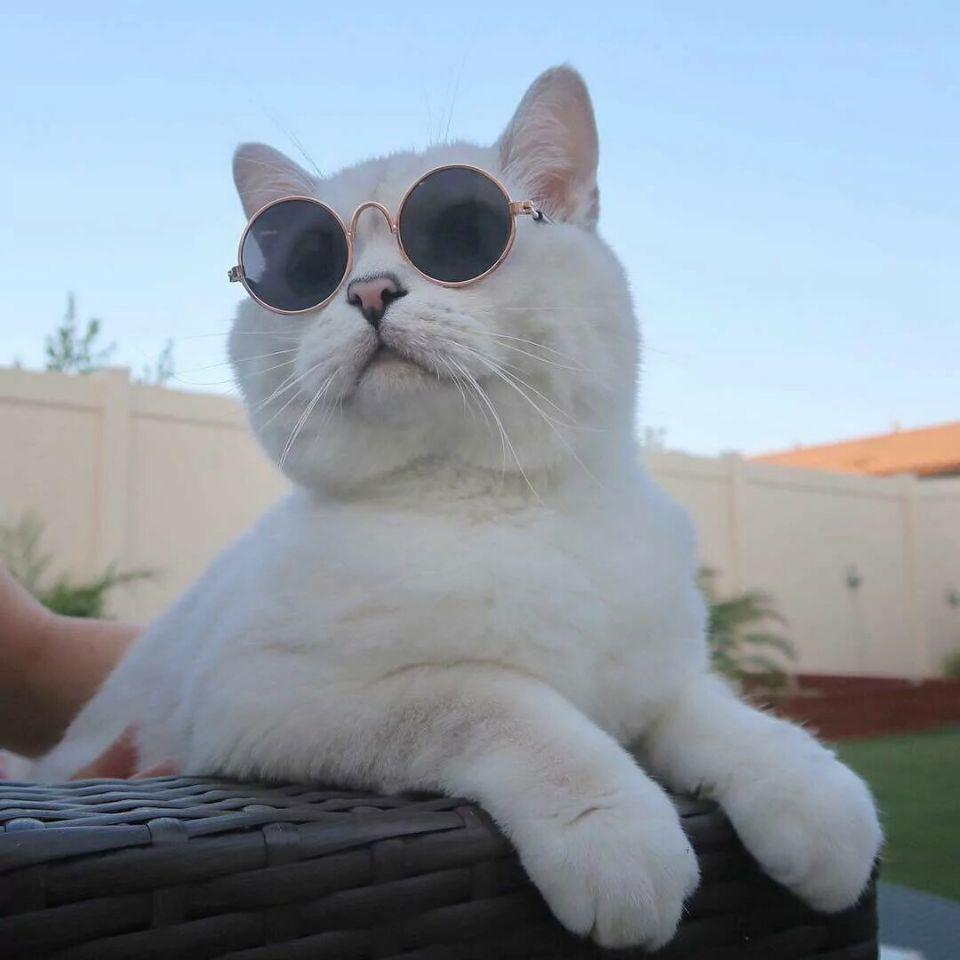 Sanp-Sanp - The Power（Fei Bo remix）