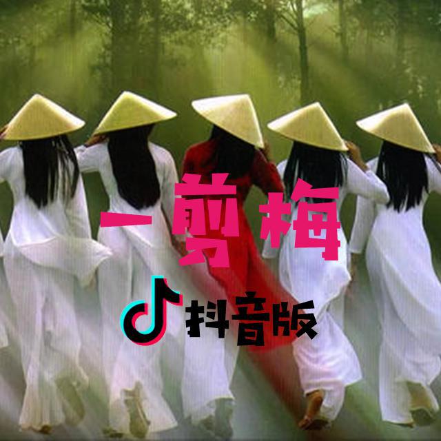 一剪梅（抖音版）