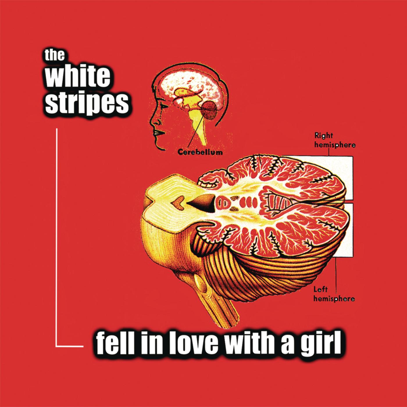 Fell in Love with a Girl