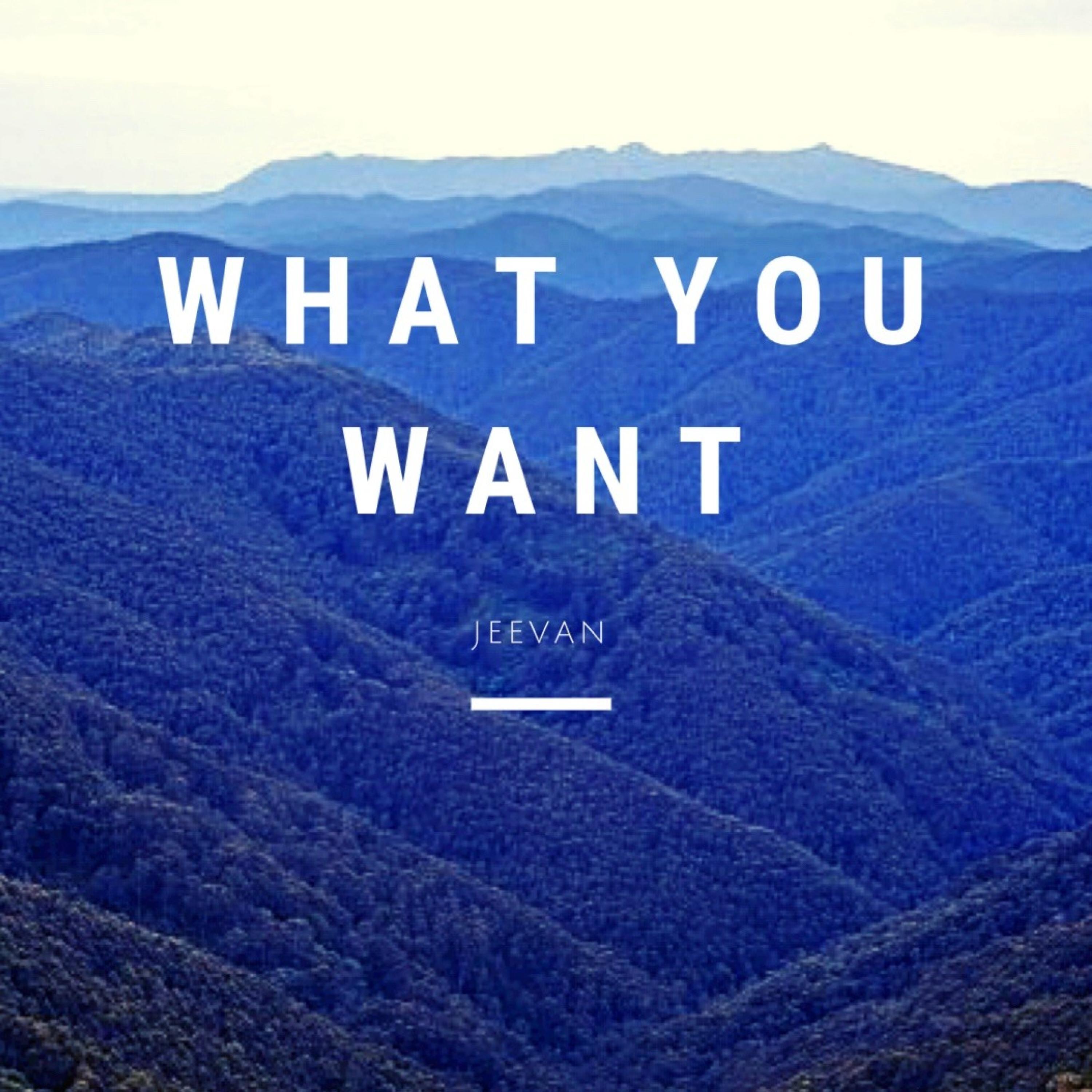 What You Want