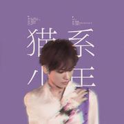 猫系少年 - 姚明明出道一周年应援曲