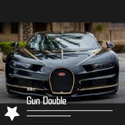 Gun Double