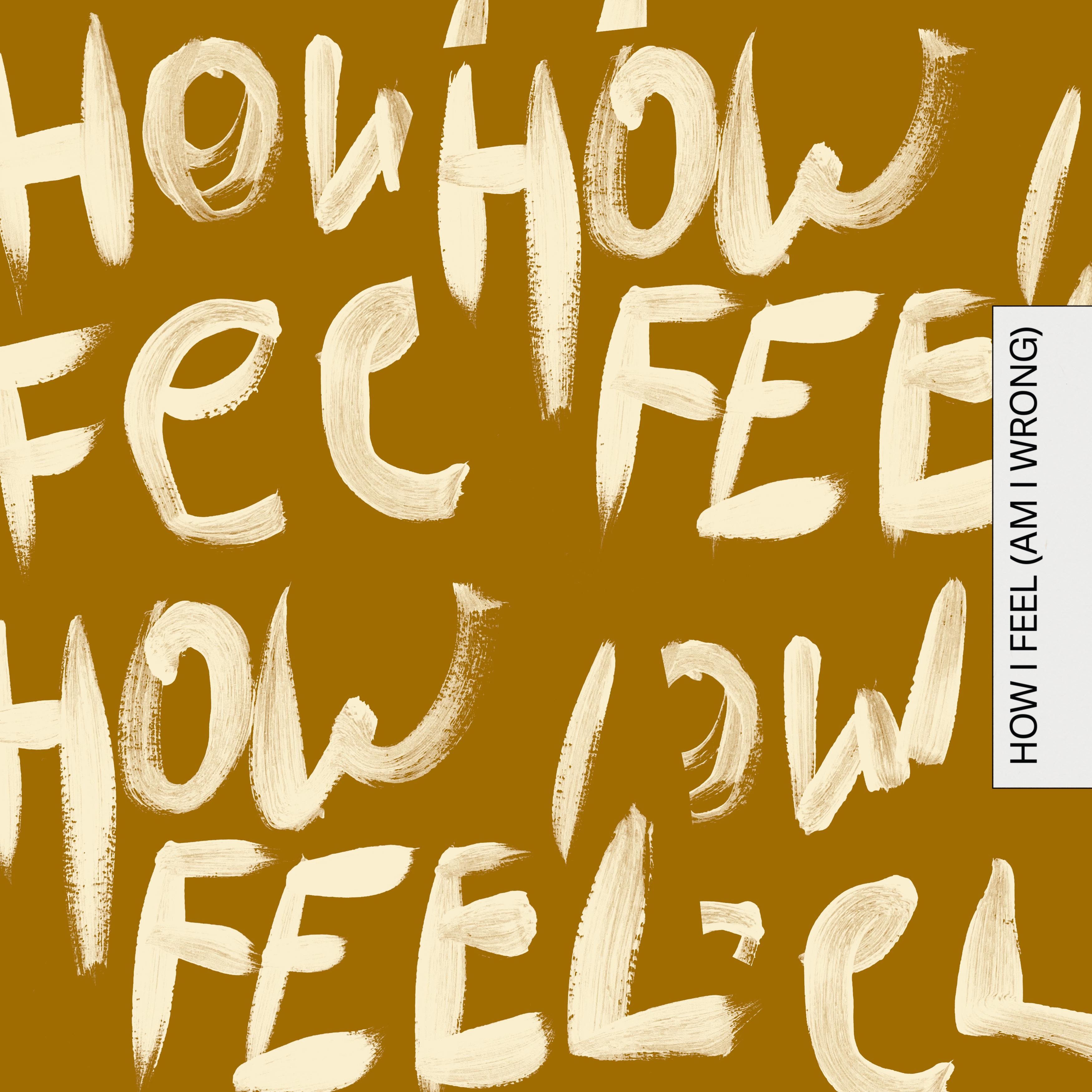 How I Feel (Am I Wrong)专辑