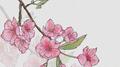 桃花瓣