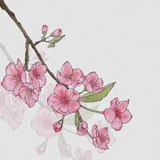 桃花瓣