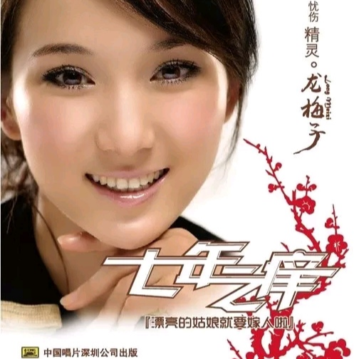 龙梅子歌曲封面