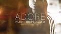 Adore (Piano Unplugged)专辑