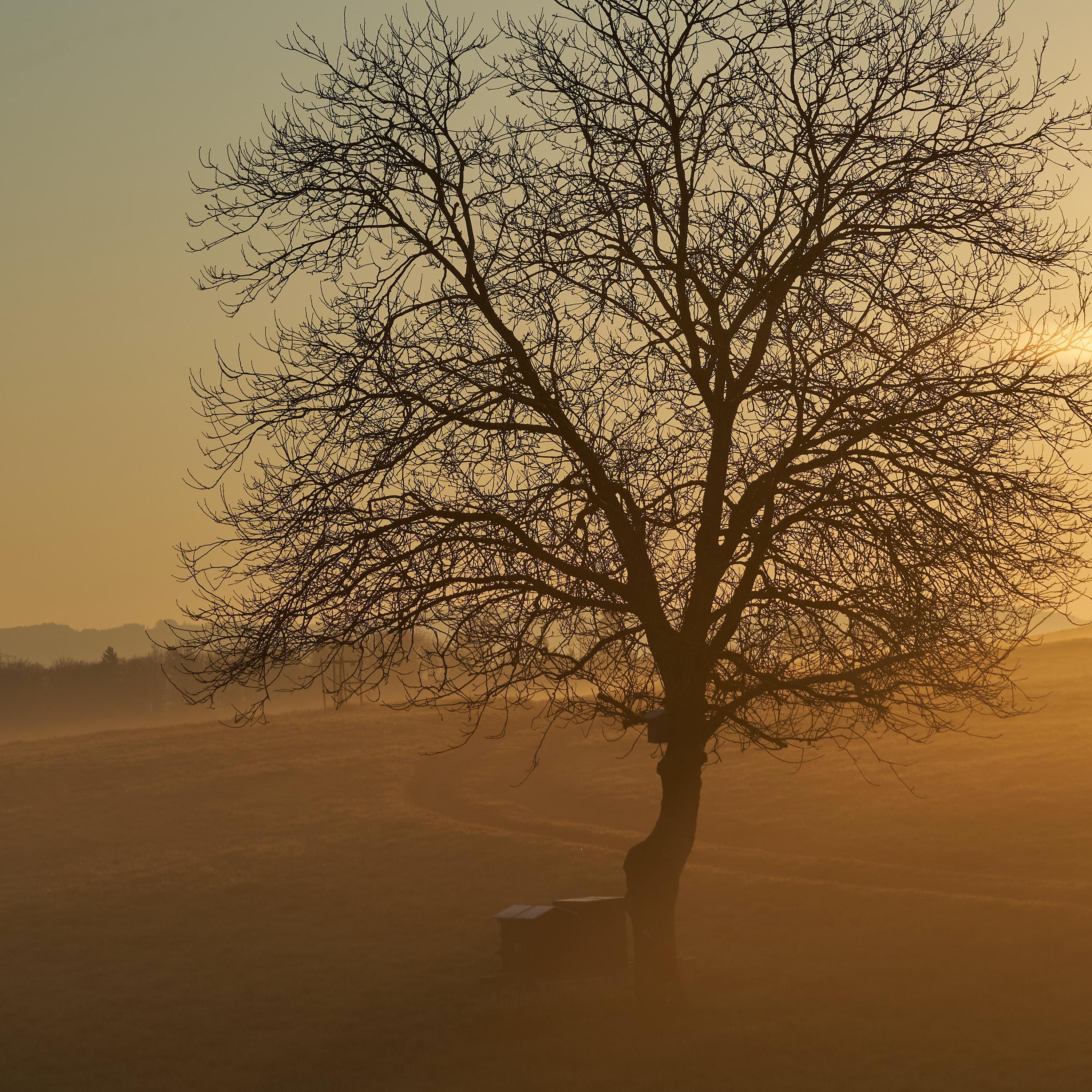 The Sun Shines For Me | Be Calm, Happy and Confident