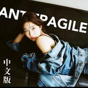 ANTIFRAGILE 中文版