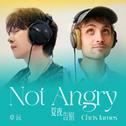 Not Angry（夏夜告别）专辑