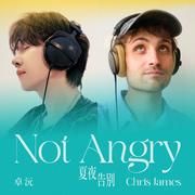 Not Angry（夏夜告别）专辑