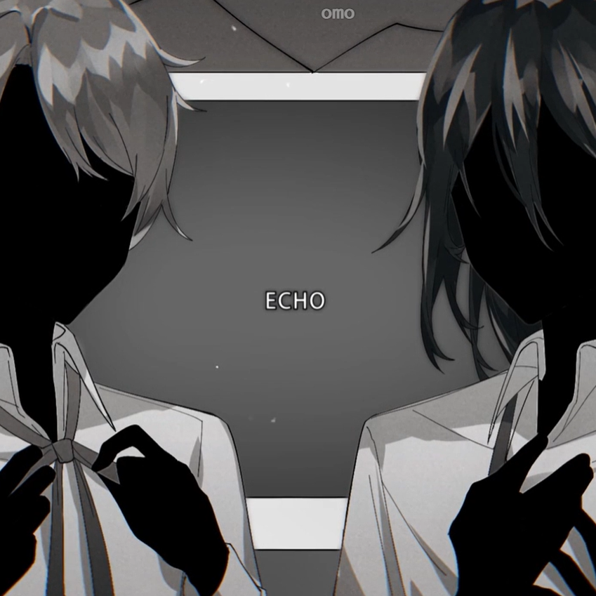 ECHO×ヒビカセ -mushup-feat.Guesss你猜（翻自 GUMI）