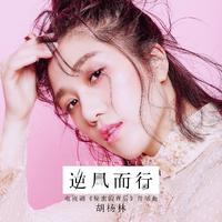 胡杨林 - 逆风而行 (伴奏).mp3