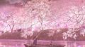 落桜专辑