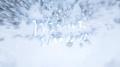WINTER EMOTION专辑