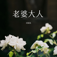 老婆大人(2017摇滚关键时尚电音dj舞曲资料)