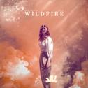 Wildfire专辑