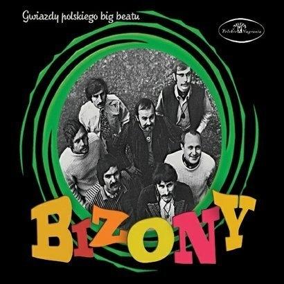 Gwiazdy Polskiego Big Beatu