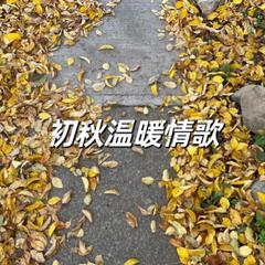 孙燕姿《风衣吉他谱》_音符跳动如心跳