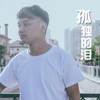 李朋坤 - 孤独的泪(原版伴奏)