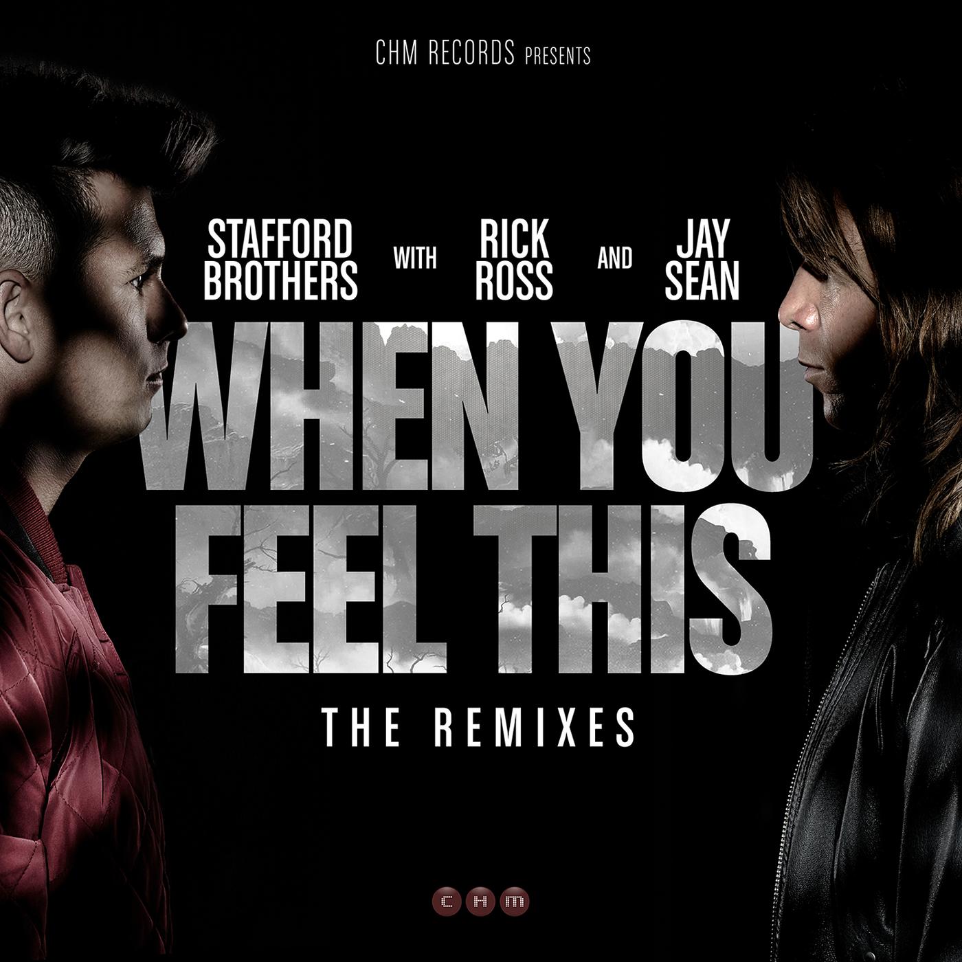 Stafford Brothers - When You Feel This (J-Trick Remix)