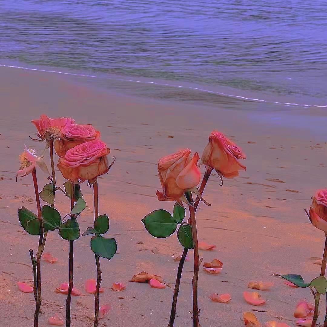 8 letters「0.9slow&bass」