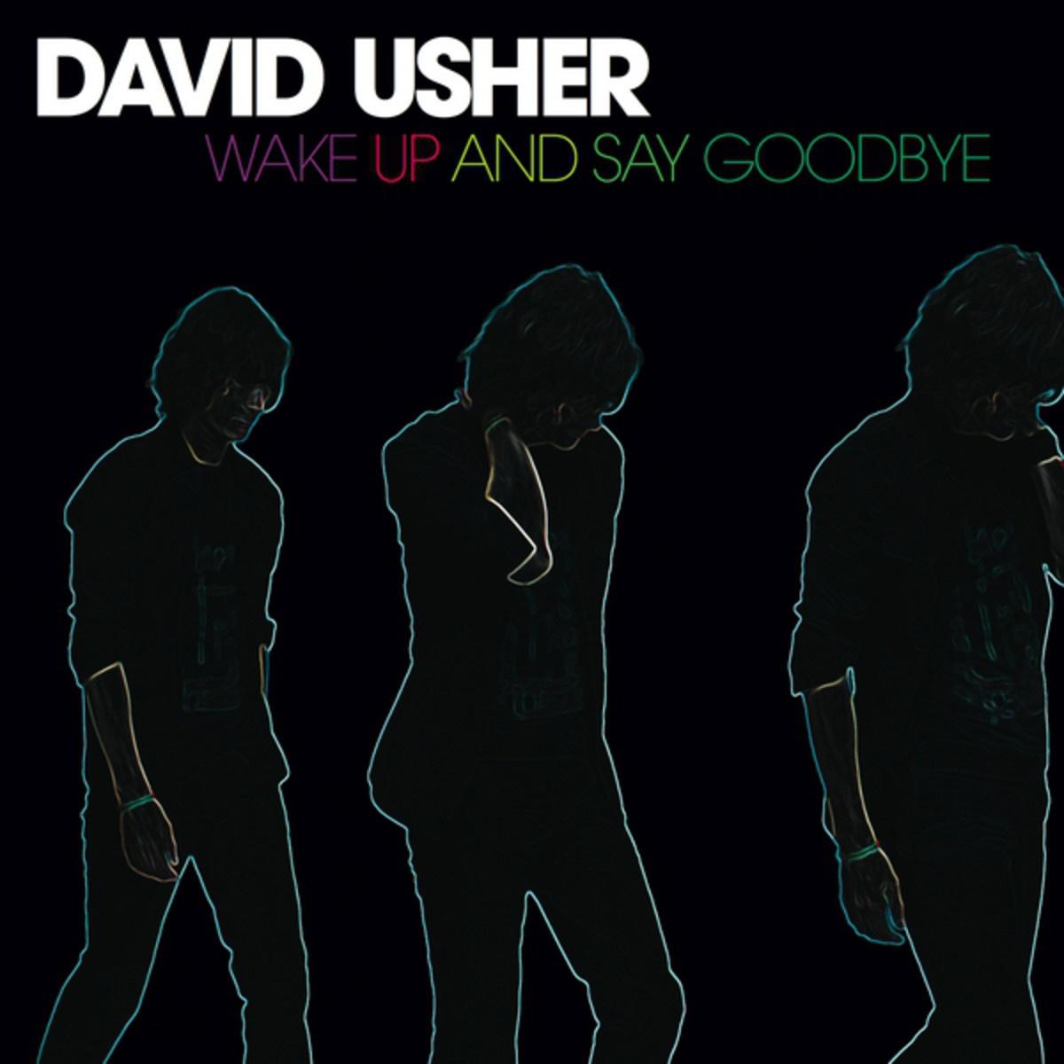 David Usher - Secret Garden