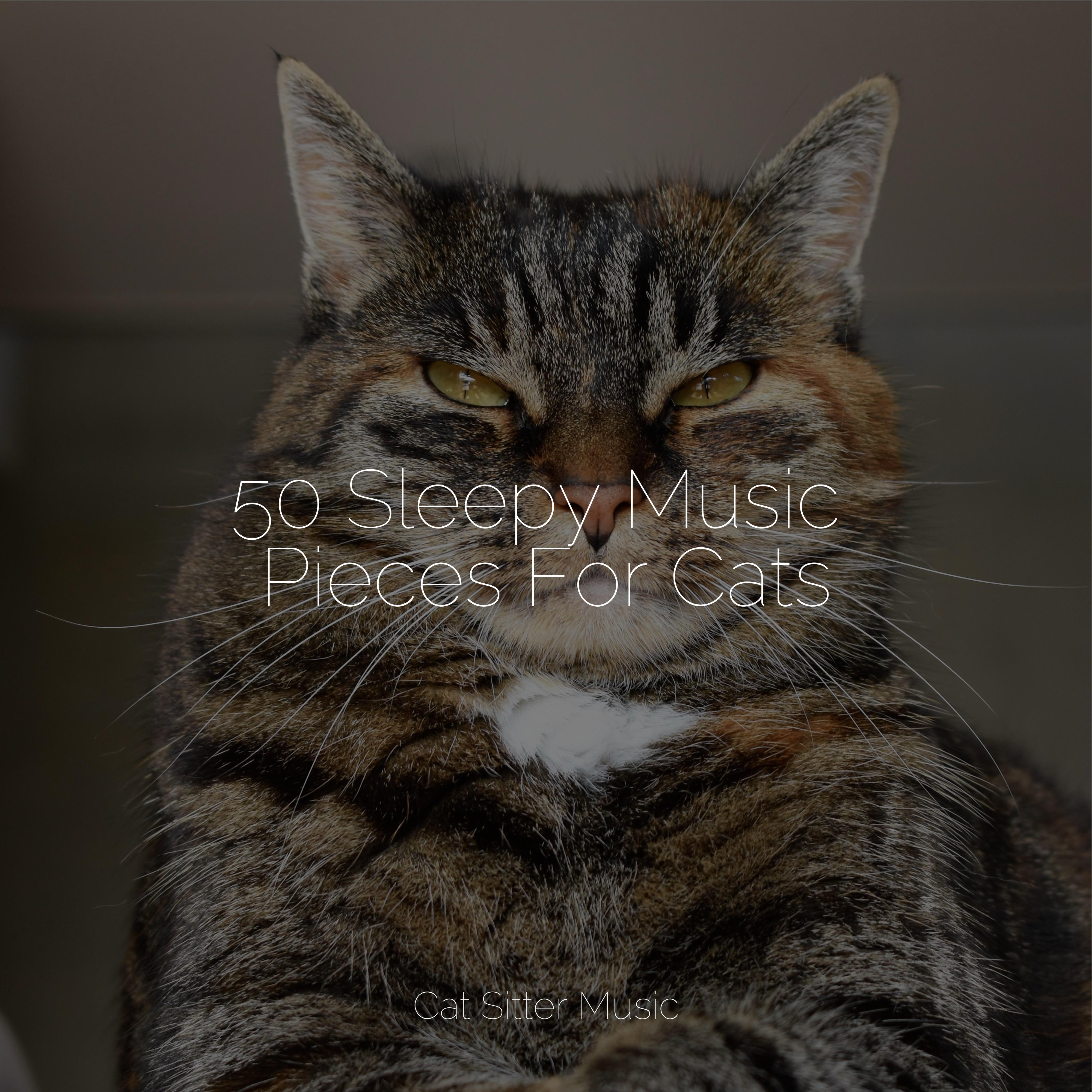 Music for Cats TA - Ambience