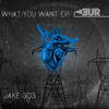 Jake 303 - What You Want (Original Mix)