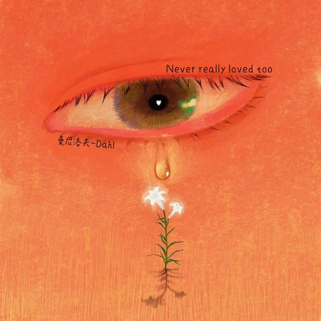 never really loved too专辑