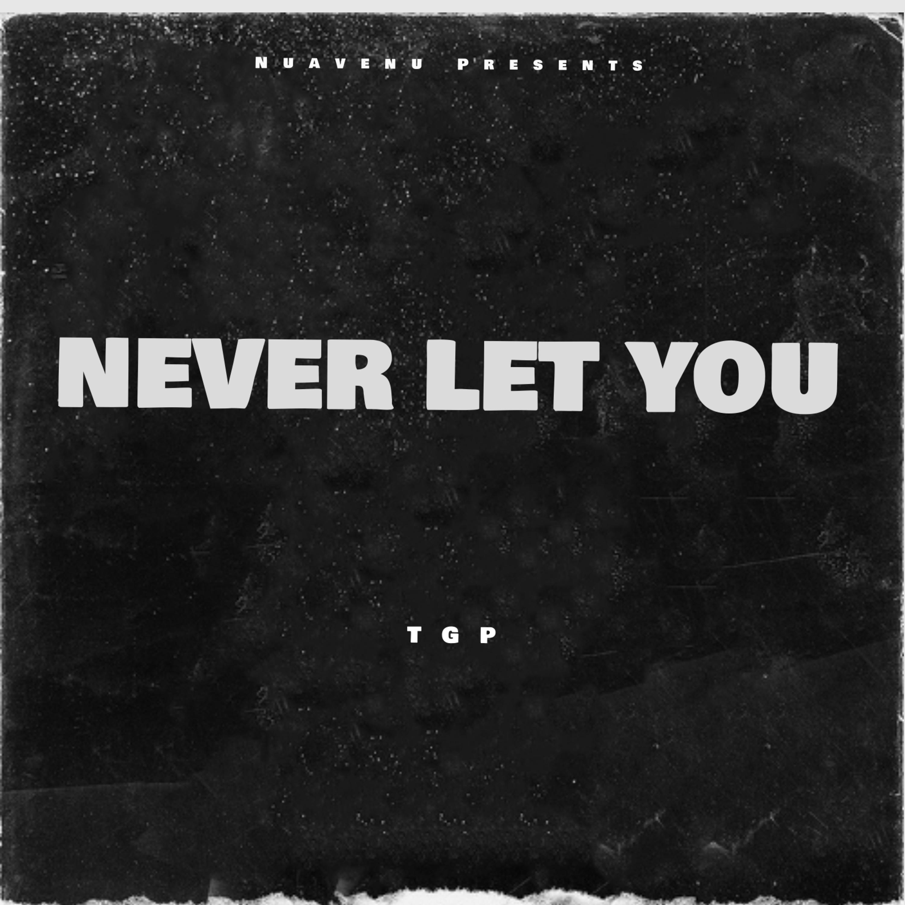 NEVER LET YOU