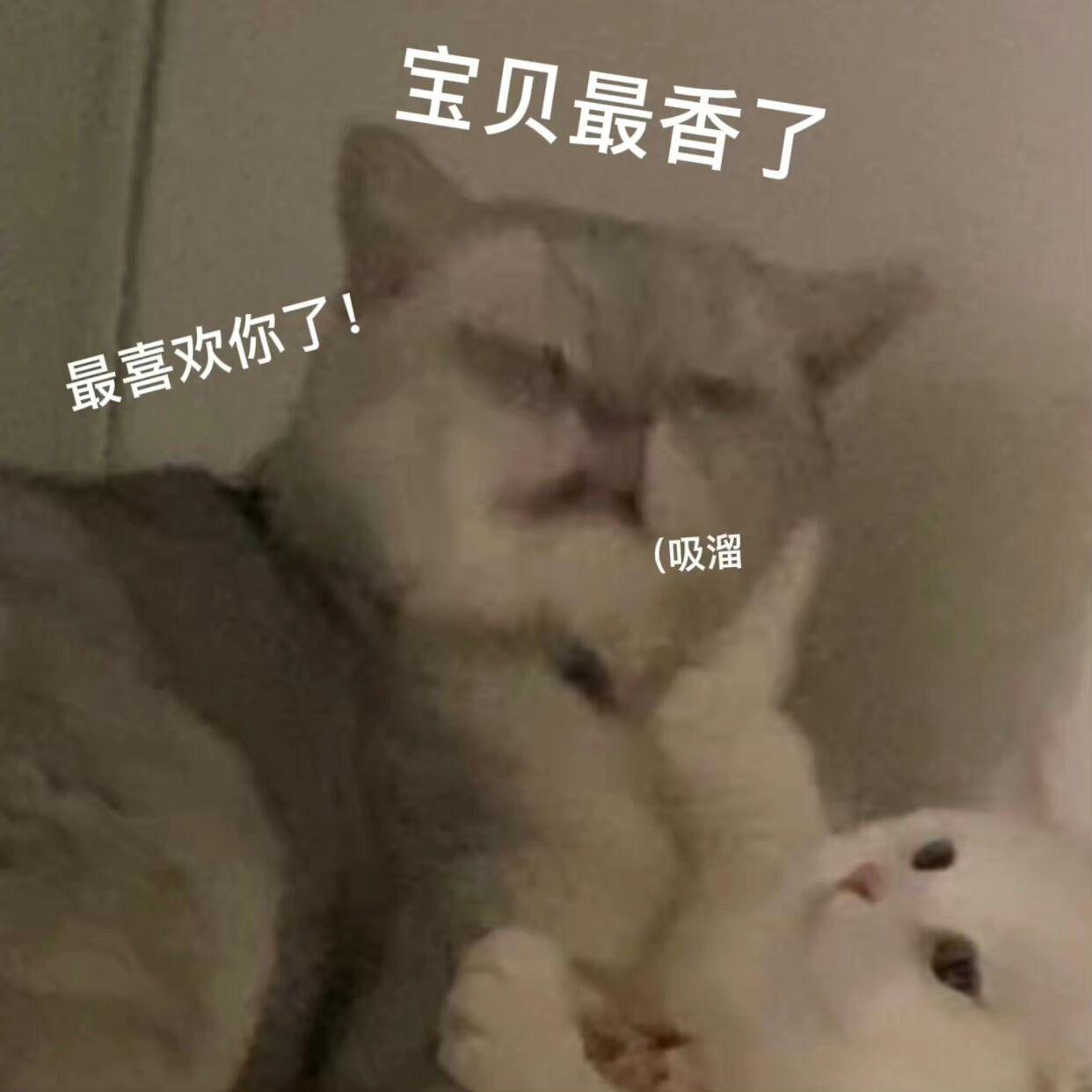 我宝贝