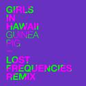 Guinea Pig (Lost Frequencies Remix)专辑