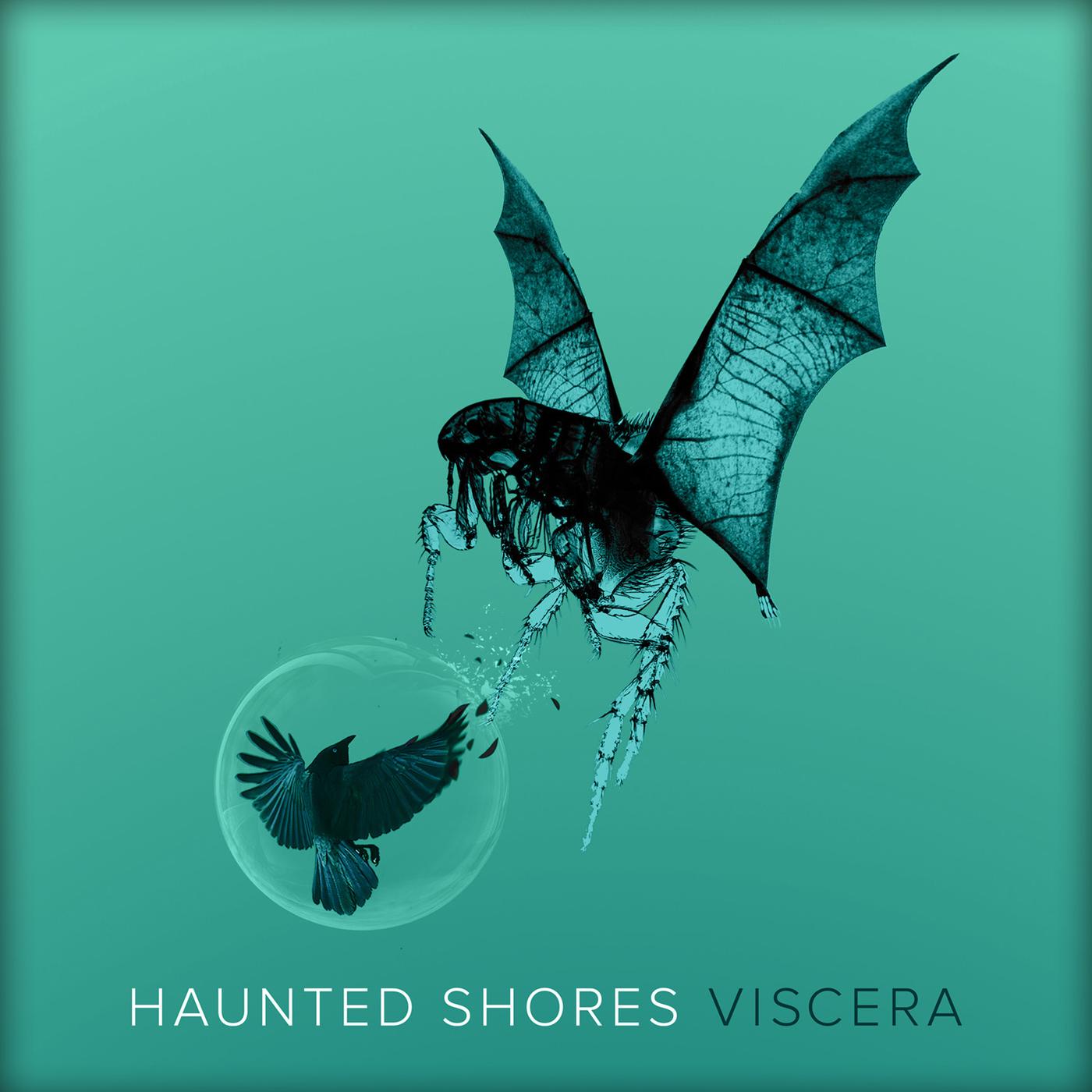 Viscera