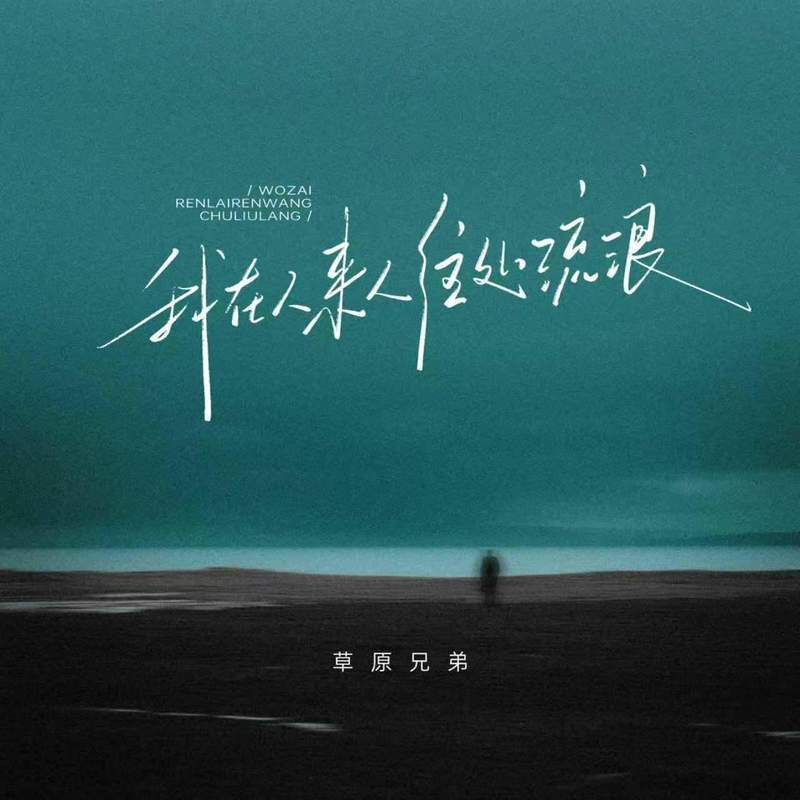 我在人来人往处流浪