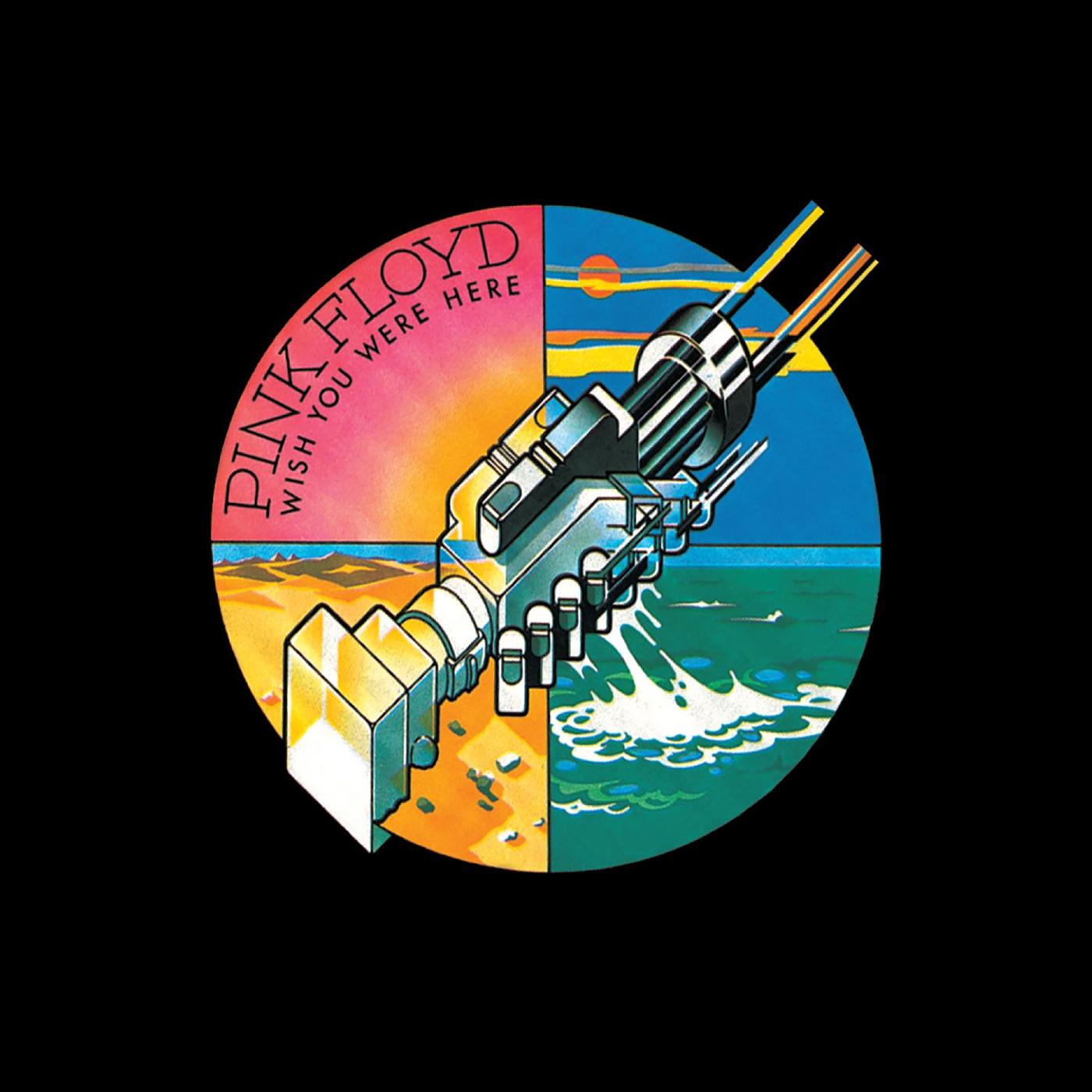 Shine On You Crazy Diamond, Pts. 1-6 (Live At Wembley 1974)