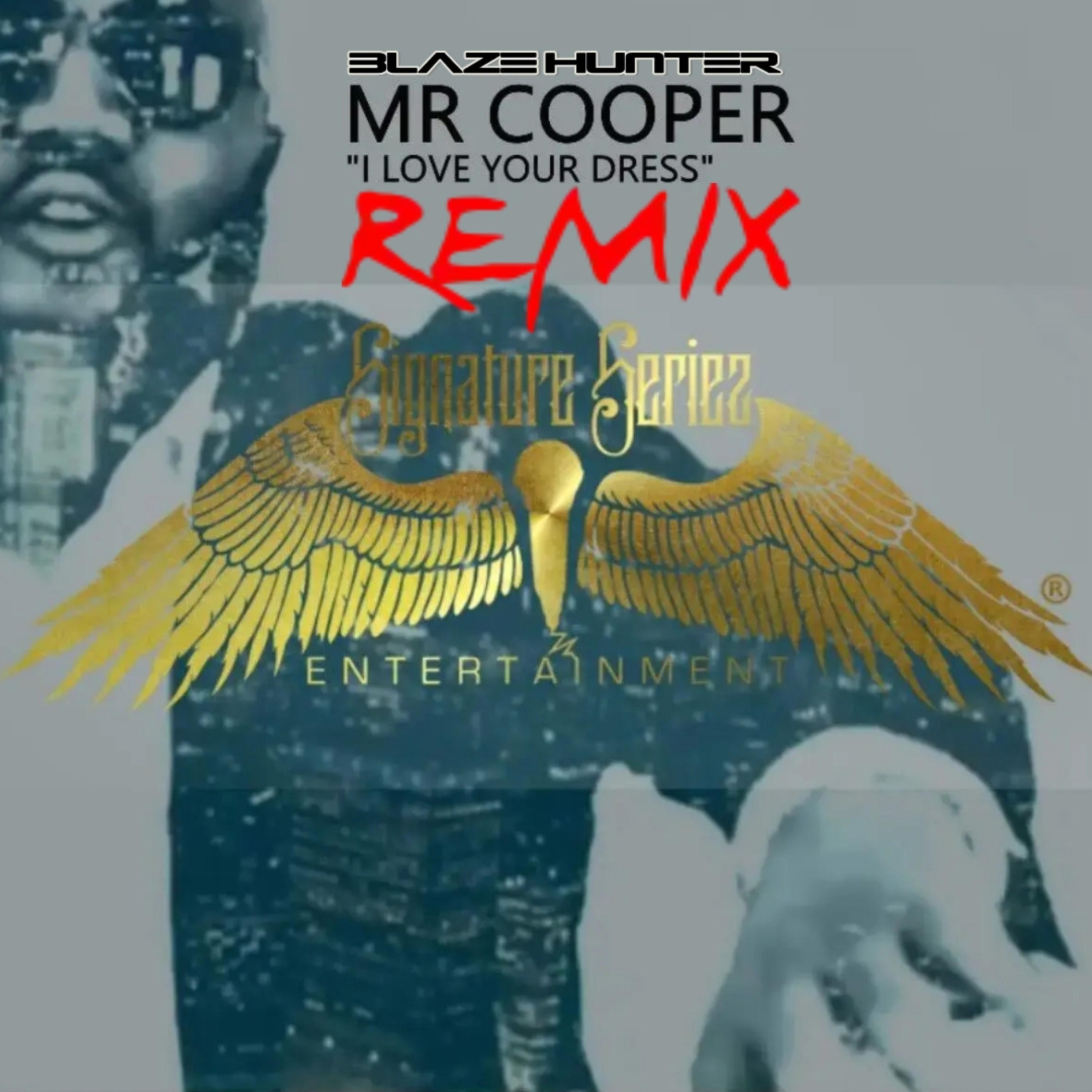I Love Your Dress (feat. MR COOPER) [REMIX]