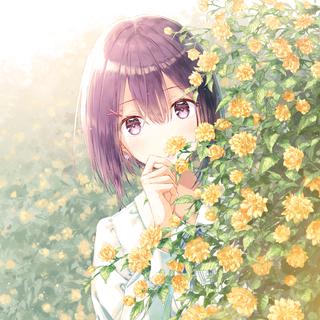 纯音系｜花香叶翠 风和日暖