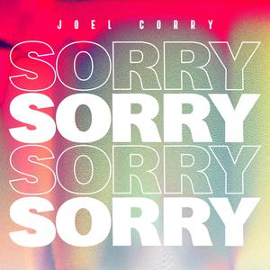 Joel Corry - Sorry (EXTENDED) (官方Karaoke) 有和声伴奏 （升7半音）