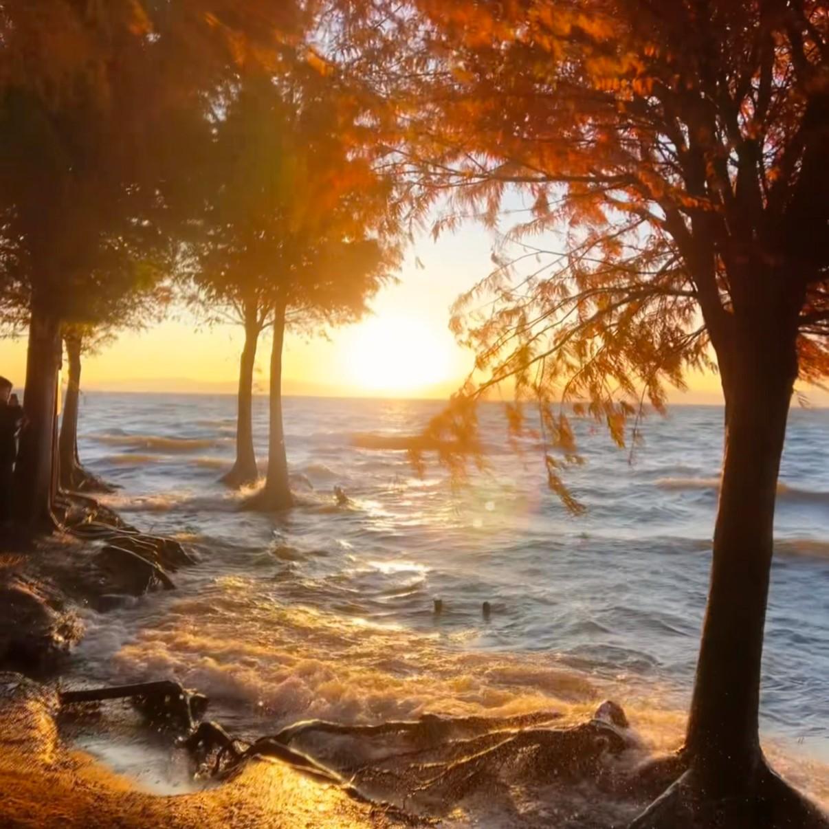 我不是流言不能猜测你