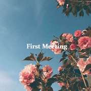 First Meeting