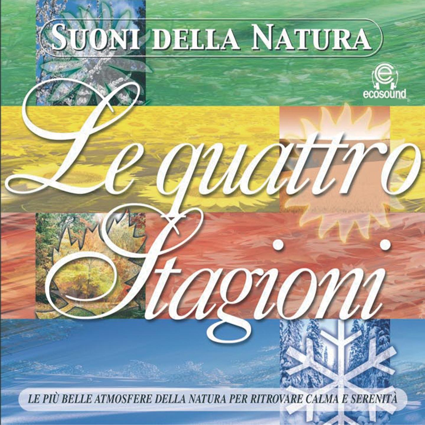 Suoni della natura: le Quattro Stagioni (Ecosound musica relax meditazione)