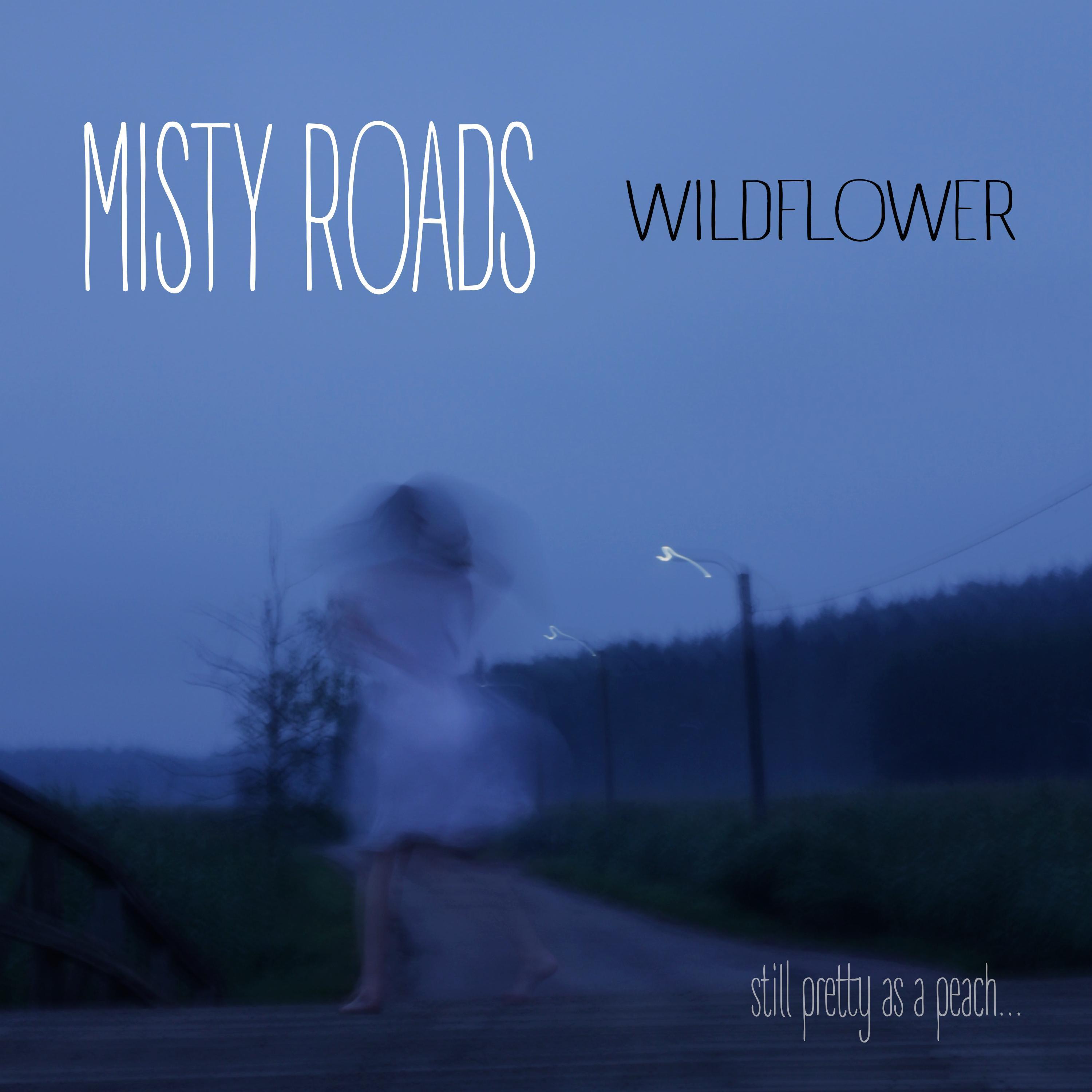 Misty Roads