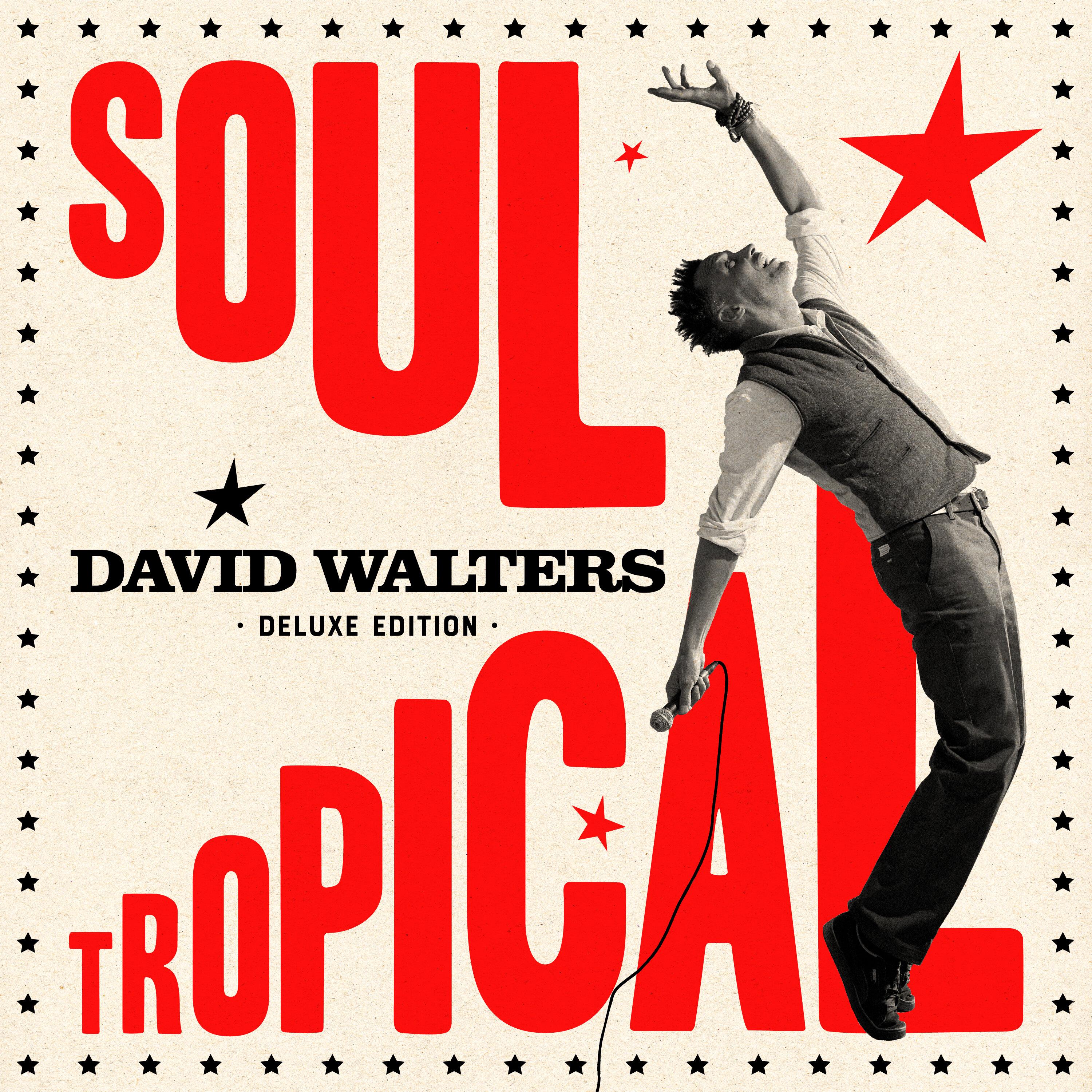 David Walters - Soul Tropical (Voilaaa Remix)