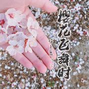 《樱花飞舞时》(Cover:中岛美嘉)