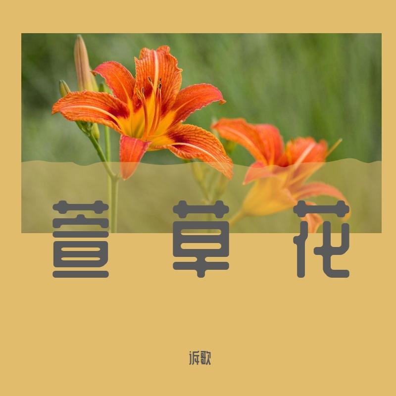 萱草花-口琴