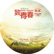致青春