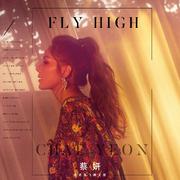 《远走高飞》韩文版（Fly High）