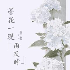 昙花一现